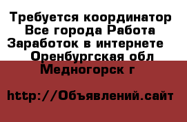 Требуется координатор - Все города Работа » Заработок в интернете   . Оренбургская обл.,Медногорск г.